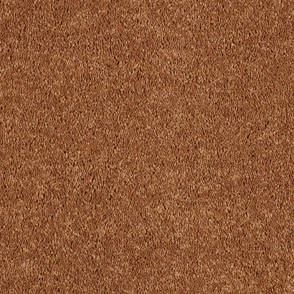 Hidden Depths Carpet