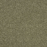 Hidden Depths Carpet