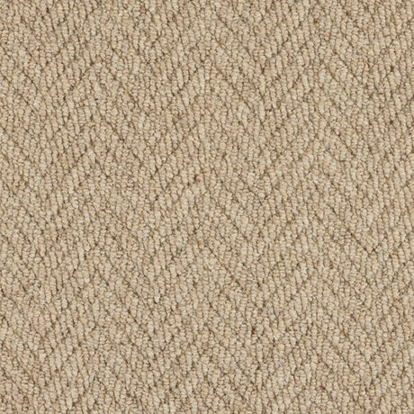 Royal Sterling Carpet