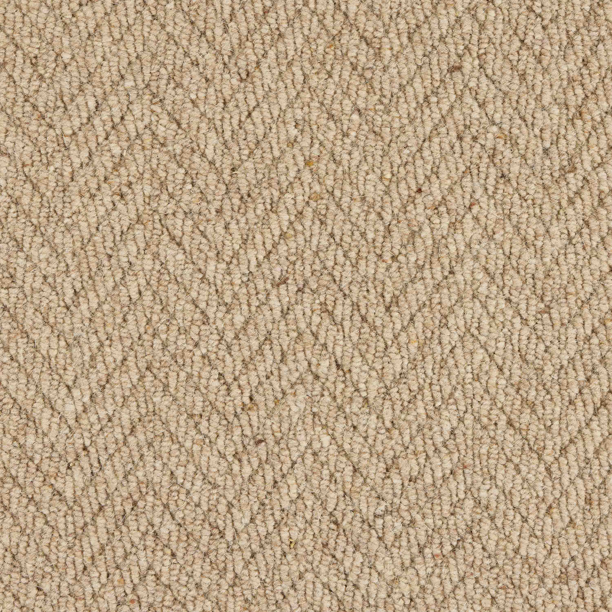 Royal Sterling Carpet