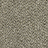 Royal Sterling Carpet