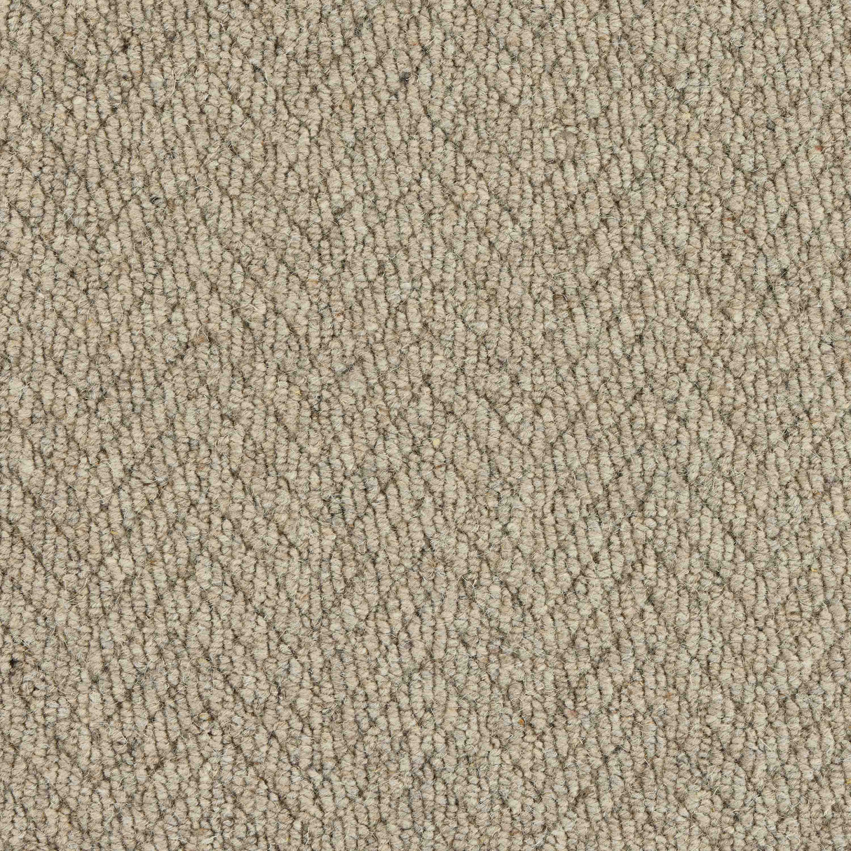 Royal Sterling Carpet