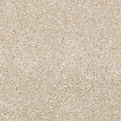 Aria Carpet