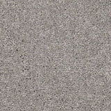 Aria Carpet