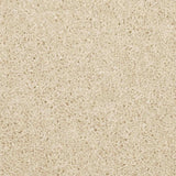 Aria Carpet