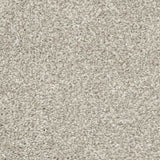 Aria Carpet