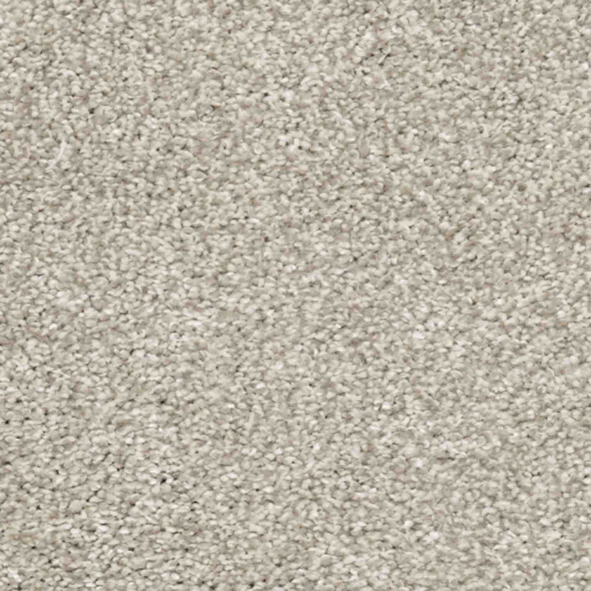 Aria Carpet