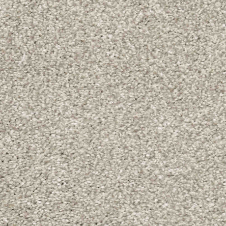 Aria Carpet