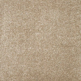 Charme Carpet