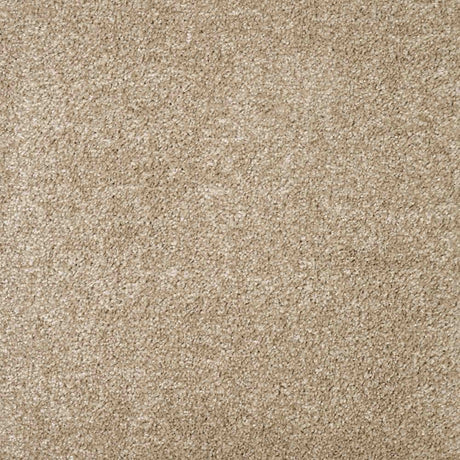 Charme Carpet