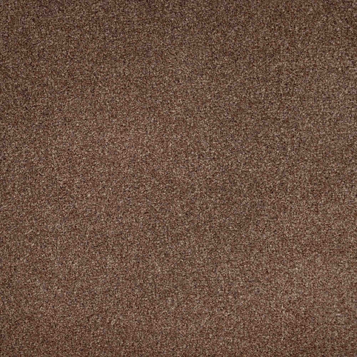 Chiltern Heathers Carpet