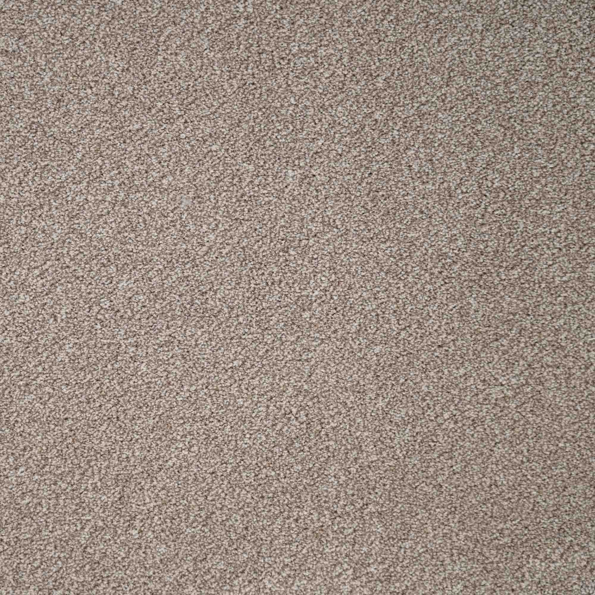 Chiltern Heathers Carpet