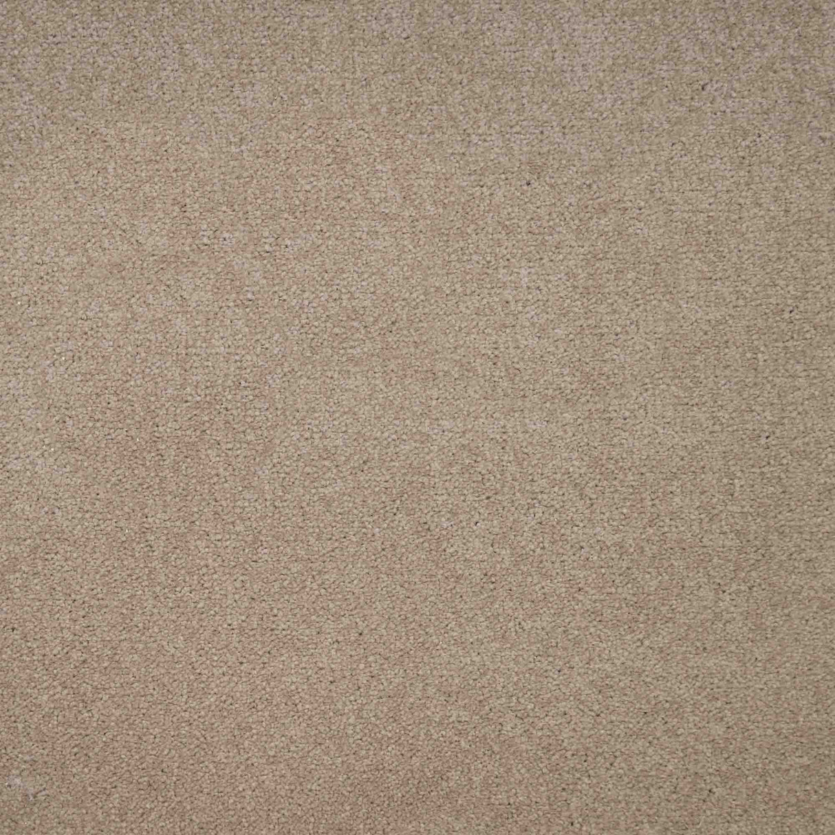 Chiltern Heathers Carpet