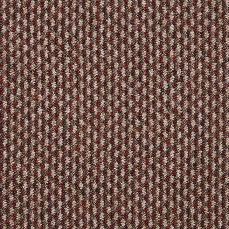 Dakar Carpet