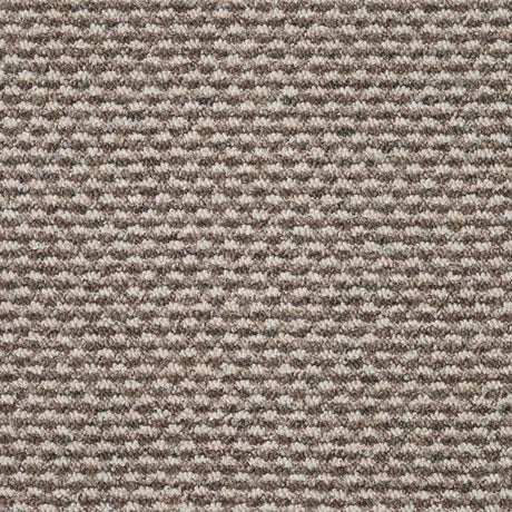 Dakar Carpet