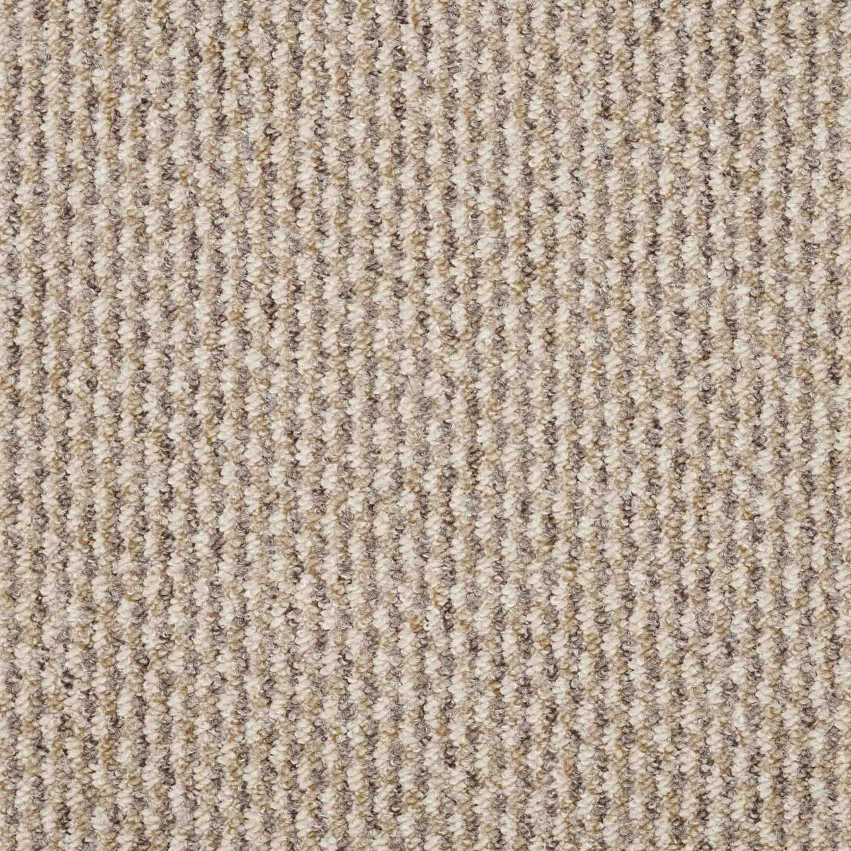 Dakar Carpet