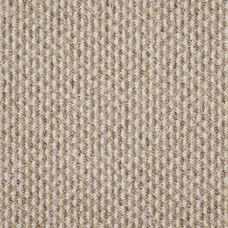 Dakar Carpet