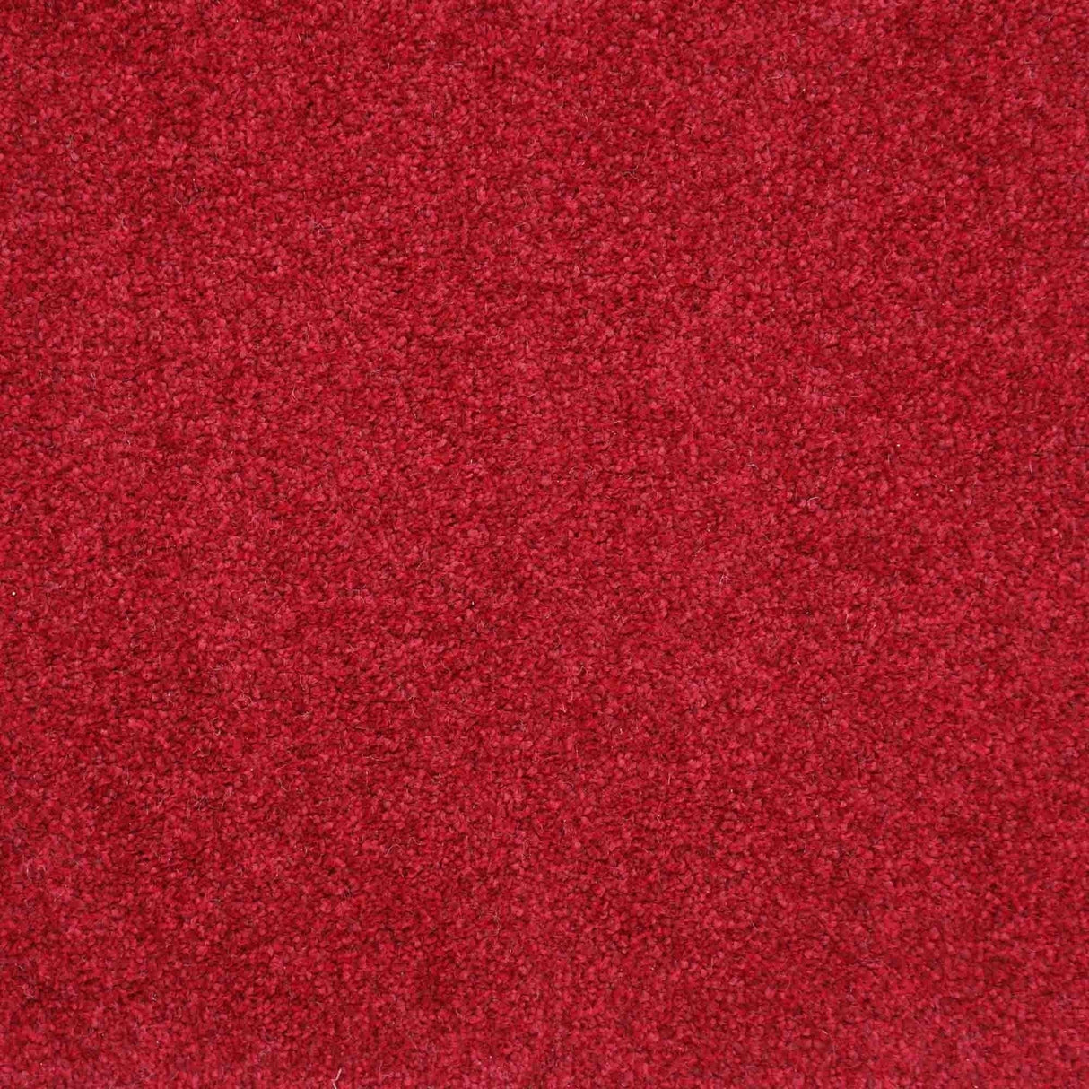 Harmony Carpet