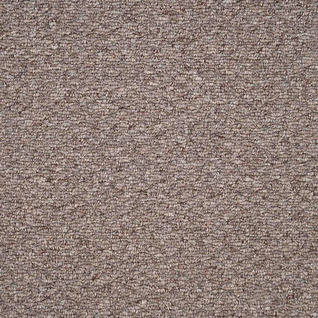 Oasis Carpet