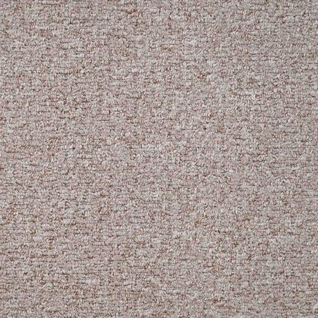 Sahara Carpet