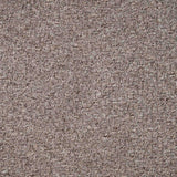 Sahara Carpet