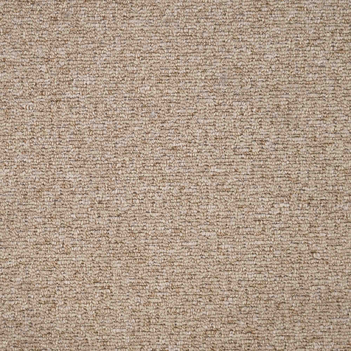 Sahara Carpet
