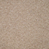 Sahara Carpet