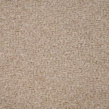 Sahara Carpet