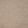 Sahara Carpet