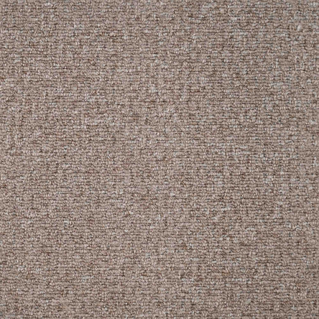 Sahara Carpet