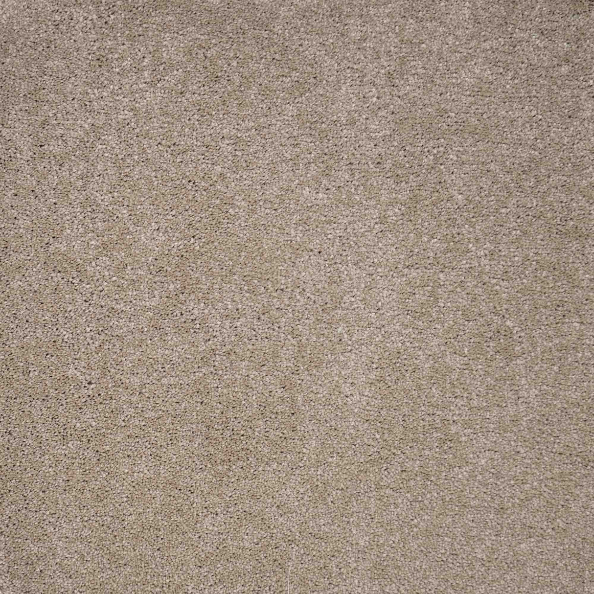 Spirito Carpet