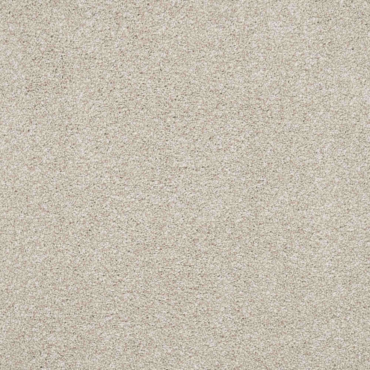 Vivace Carpet
