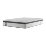 Sealy Buckingham Mattress