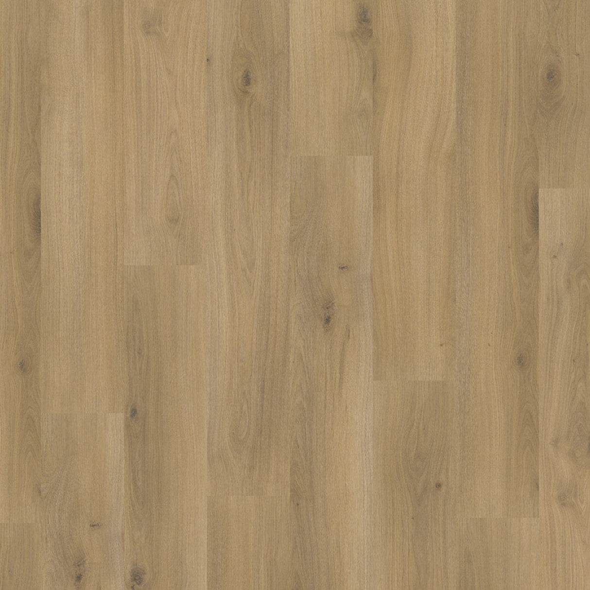 Parador Basic 400 Laminate