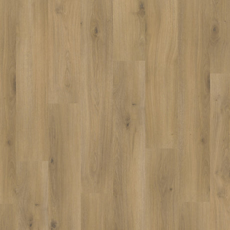 Parador Basic 400 Laminate