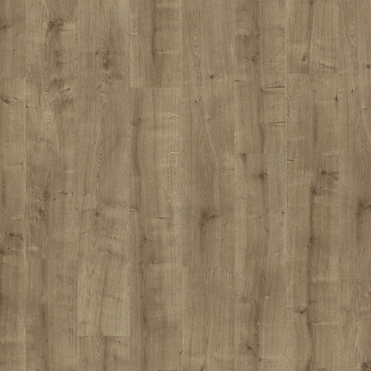 Parador Basic 400 Laminate