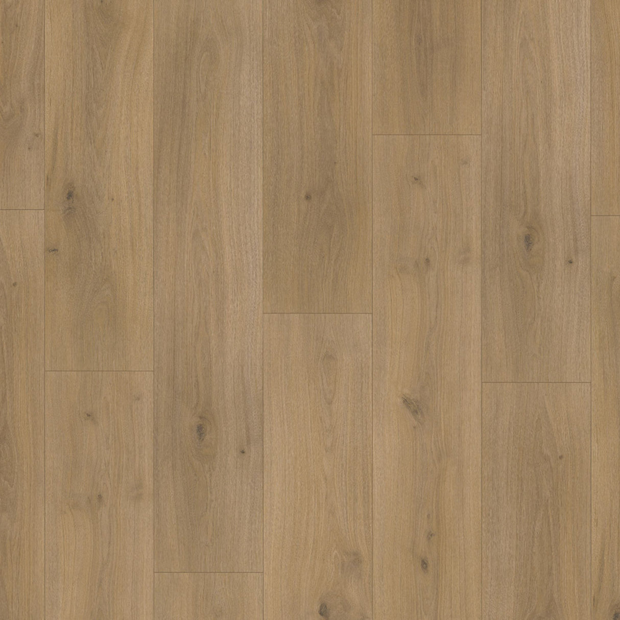 Parador Basic 600 Laminate