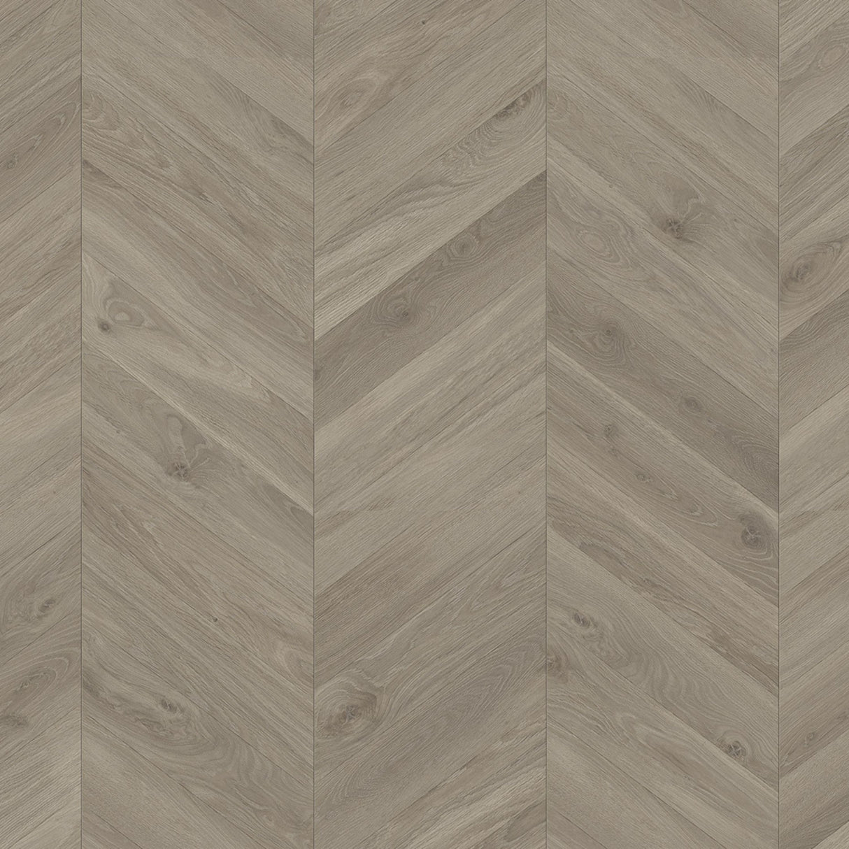 Parador Trendtime 8 Laminate