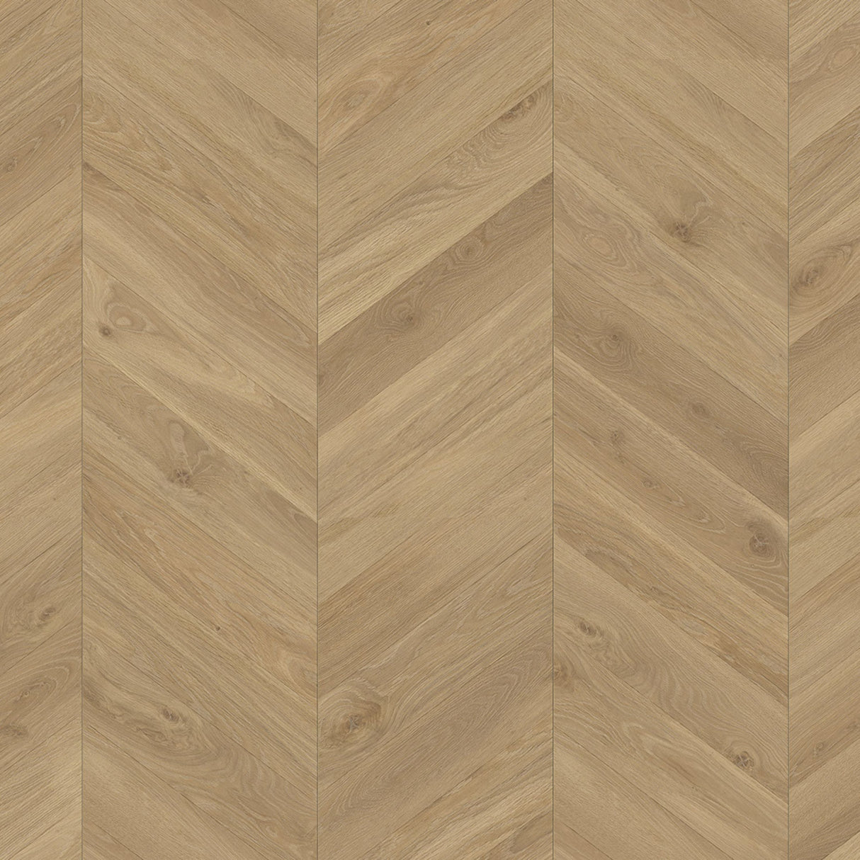 Parador Trendtime 8 Laminate
