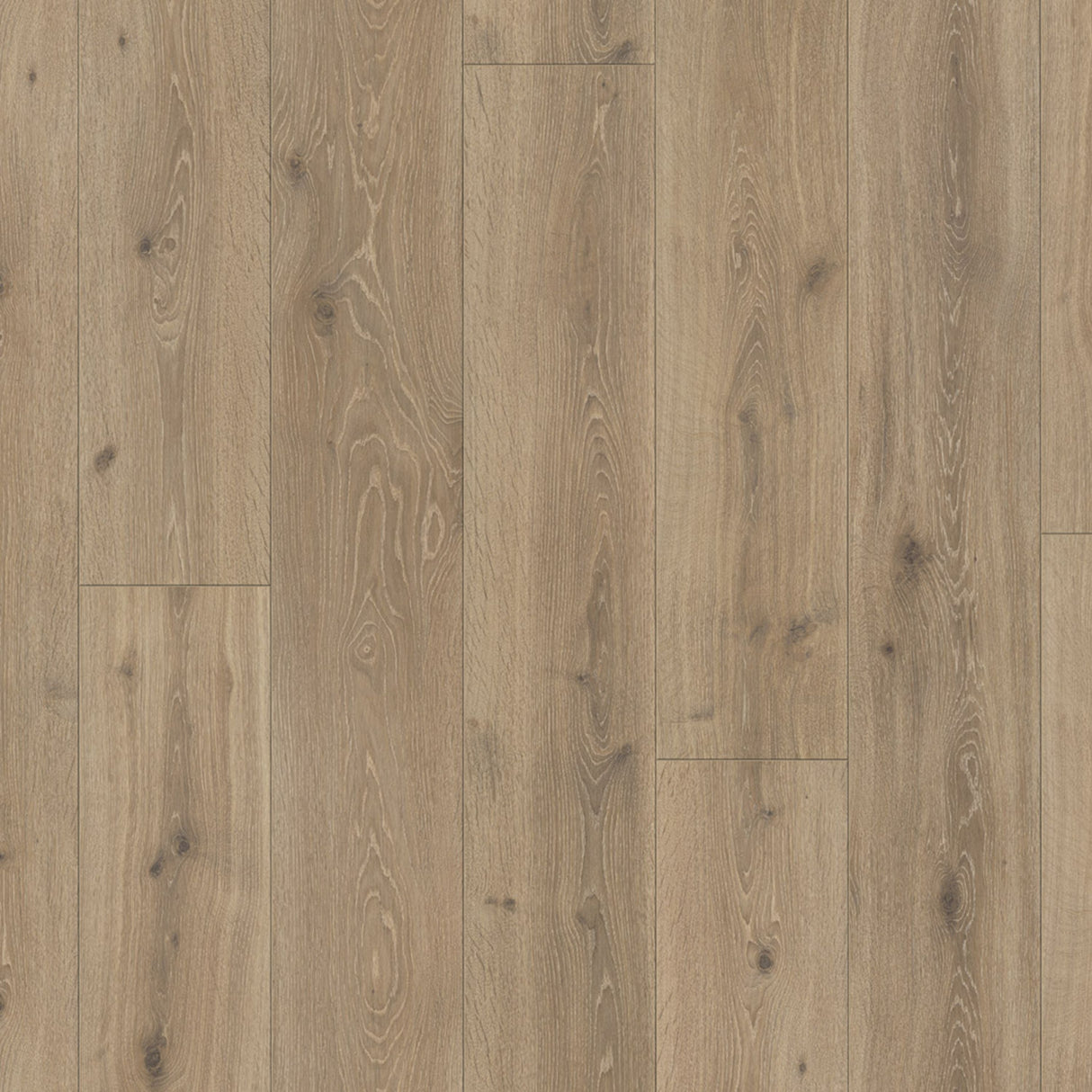 Parador Trendtime 6 Laminate