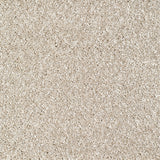 Bridgeport Carpet