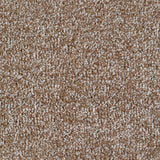 Carrick Cove Carpet