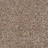 Carrick Cove Carpet