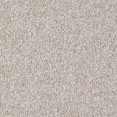 Carrick Cove Carpet