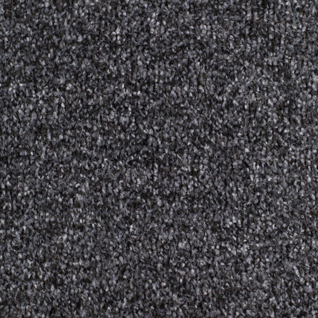 Carrick Cove Carpet