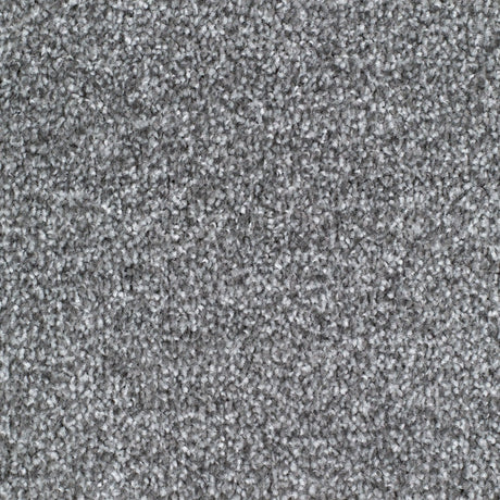 Carrick Cove Carpet