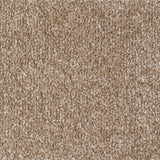Carrick Cove Carpet