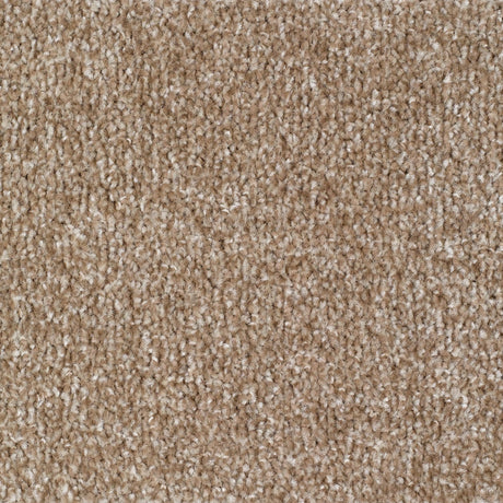 Carrick Cove Carpet