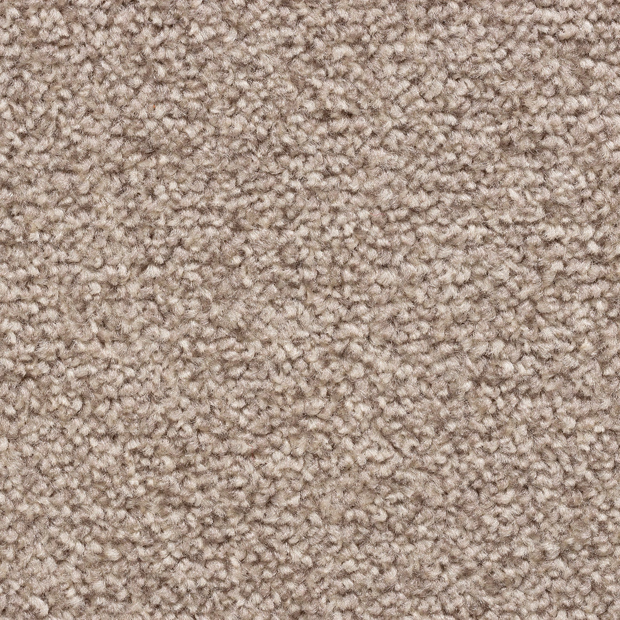 Cedar Falls Carpet