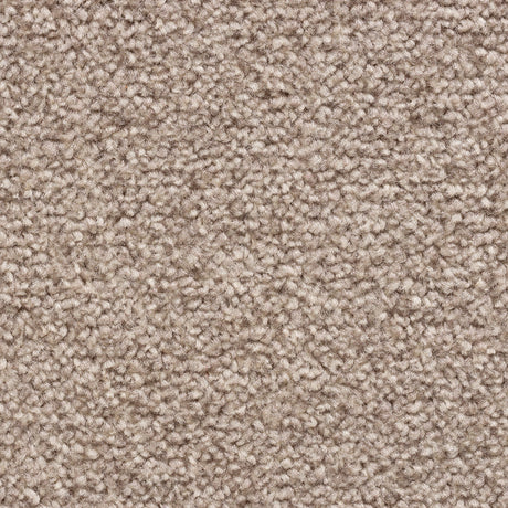 Cedar Falls Carpet